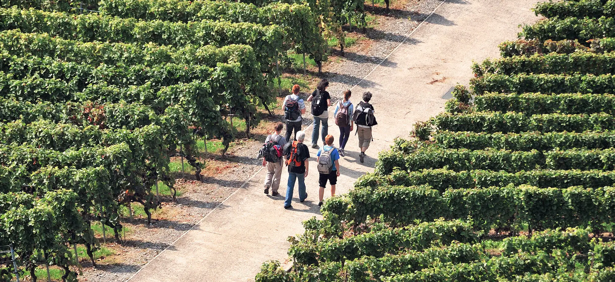 Group trips