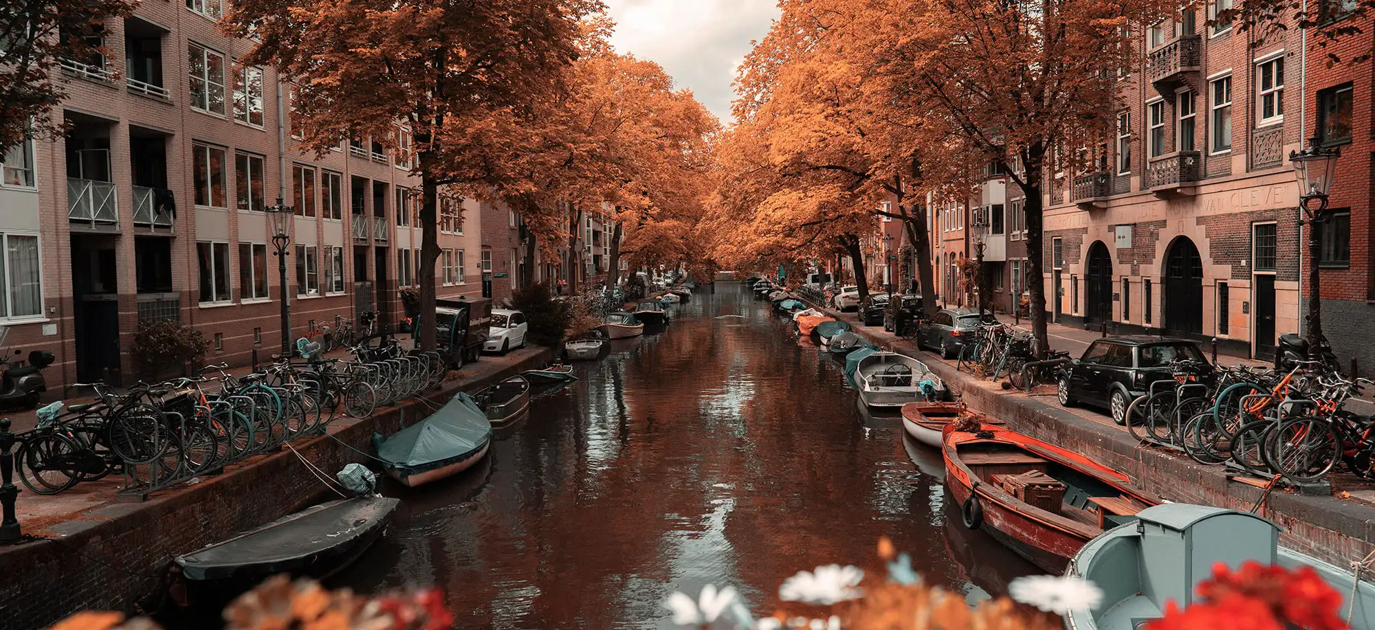 Fall trips