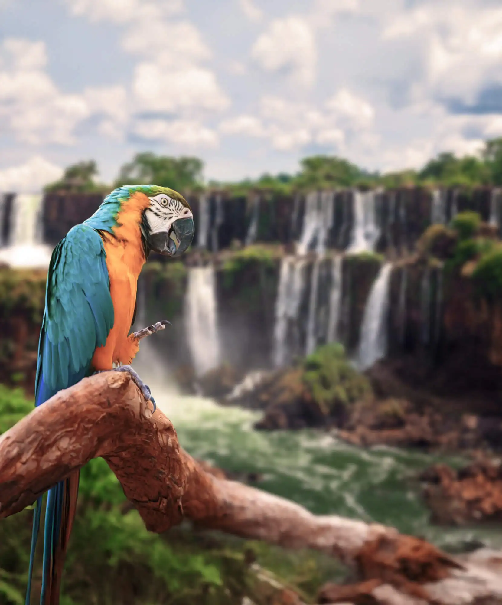 OFERTA-VIAJE-LO-MEJOR-DE-BRASIL-IGUAZU.webp - Pangea Viajes