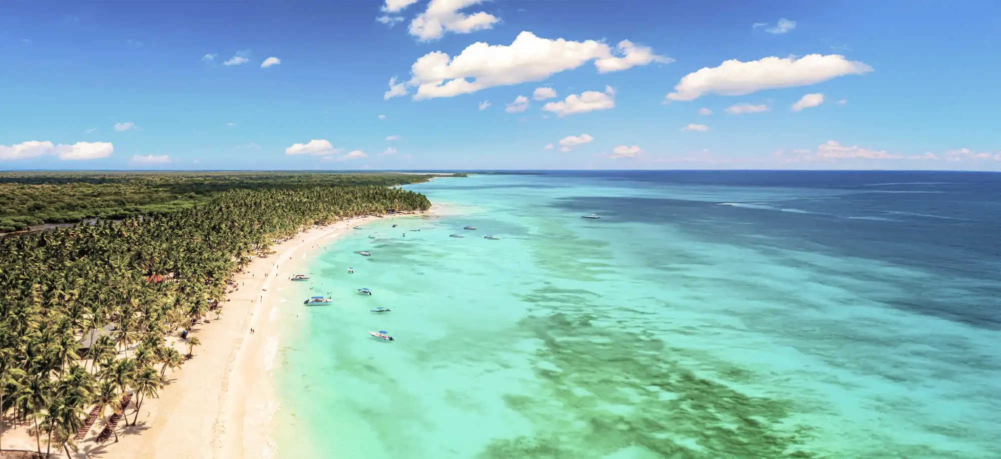 Punta Cana Con Panamá de Regalo