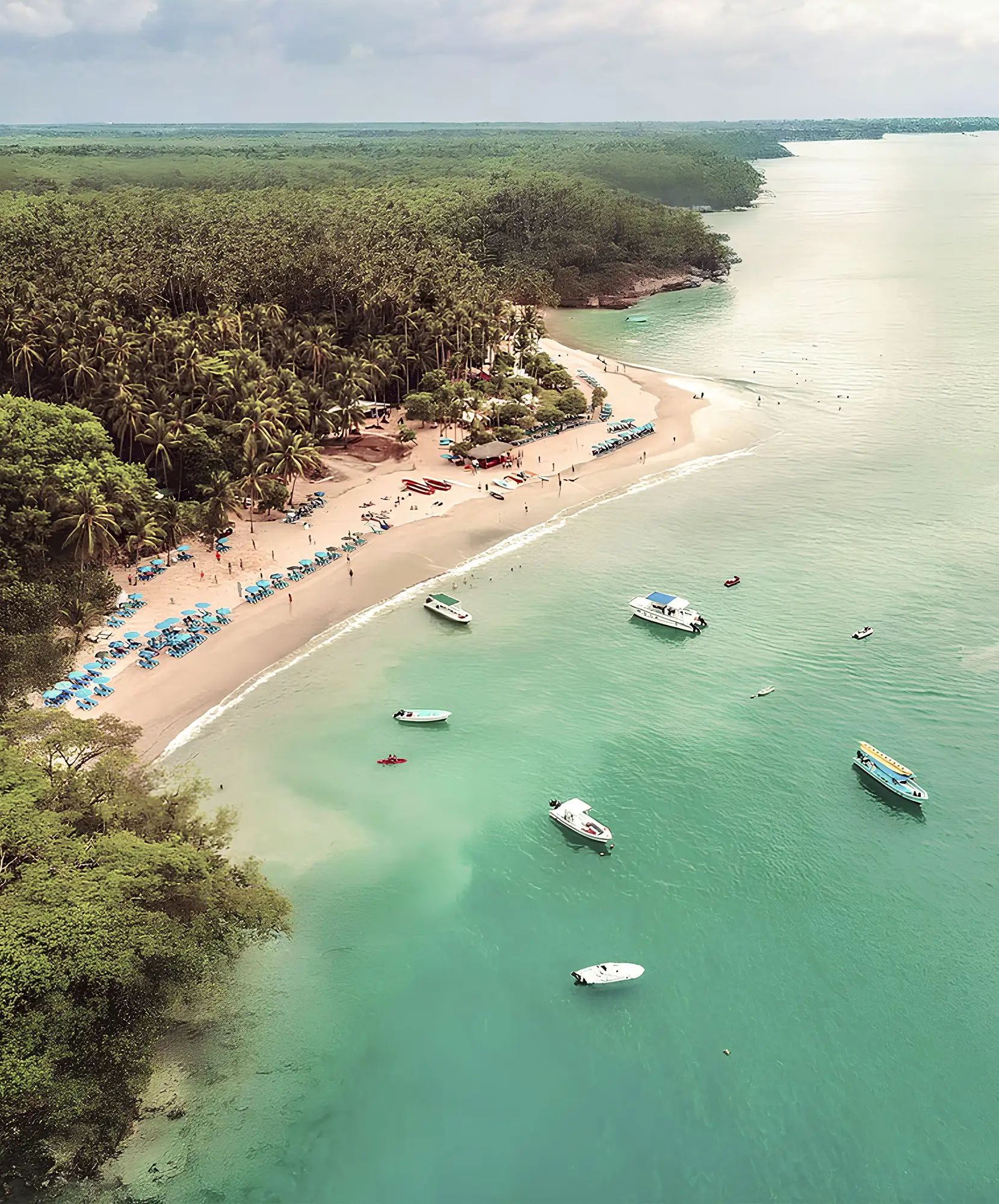 Oferta-viaje-Costa-Rica-Isla-Tortuga.webp - Pangea Viajes