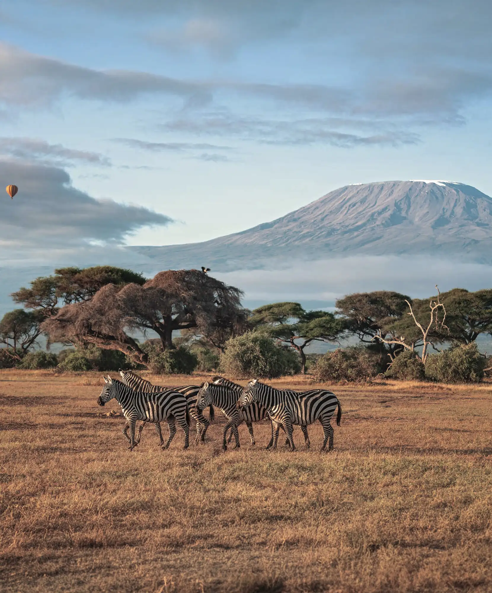 Oferta-viaje-Kenia-Tanzania-Masai-Mara.webp - Pangea Viajes