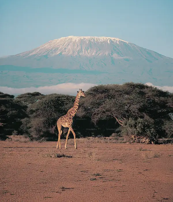 Kenia y Tanzania