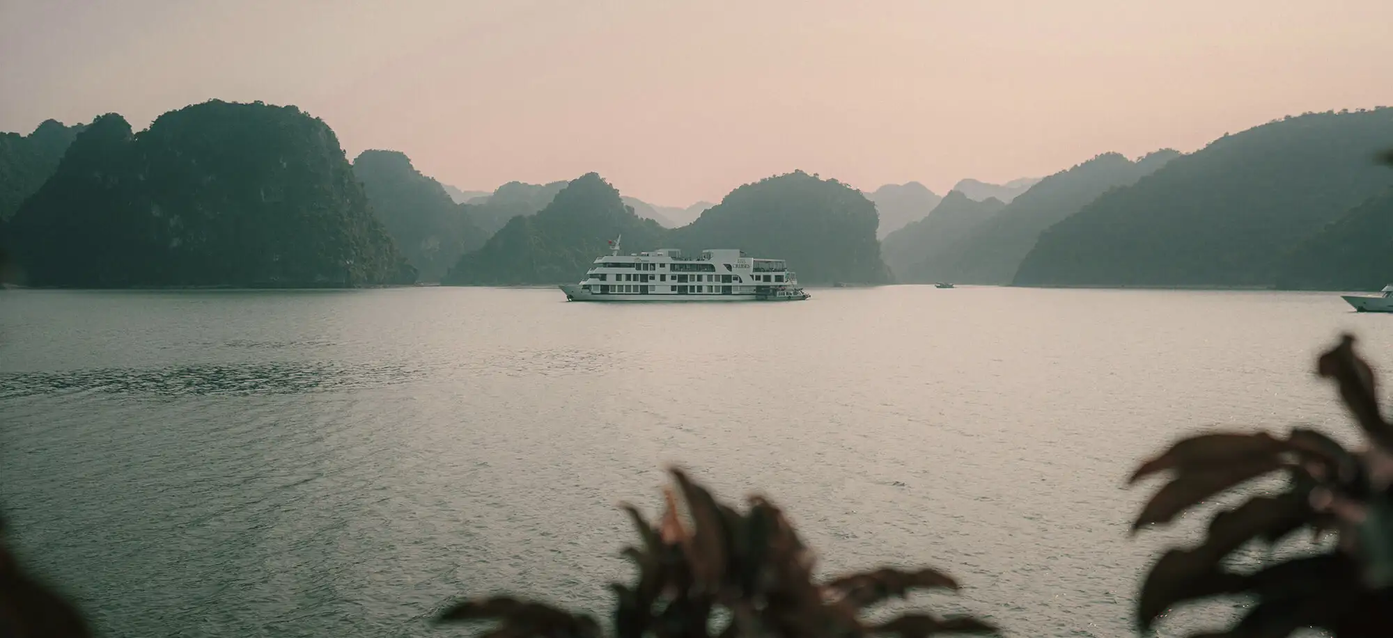 Cruceros