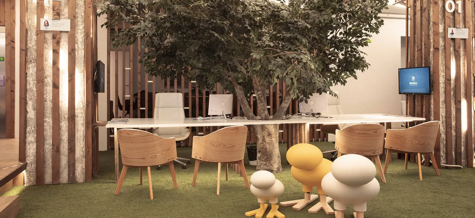 image-galeria-BIO-2-d.webp - Pangea Viajes