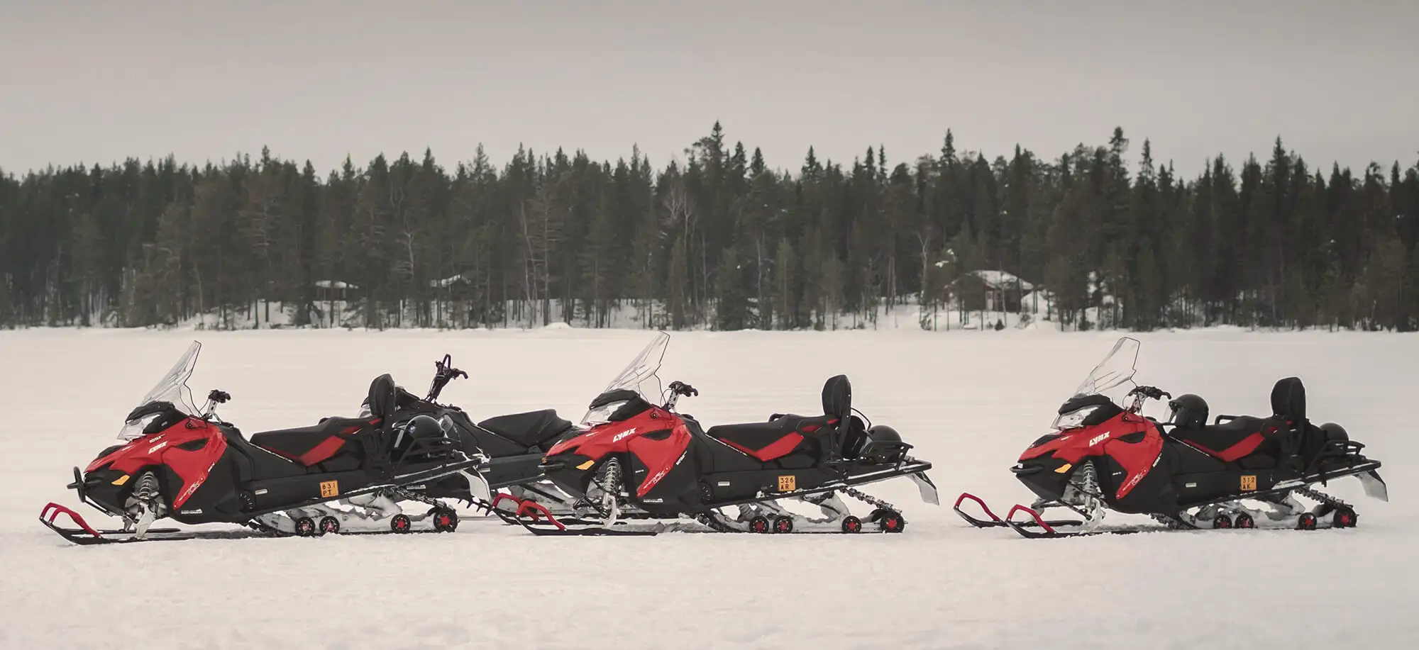 White Expedition