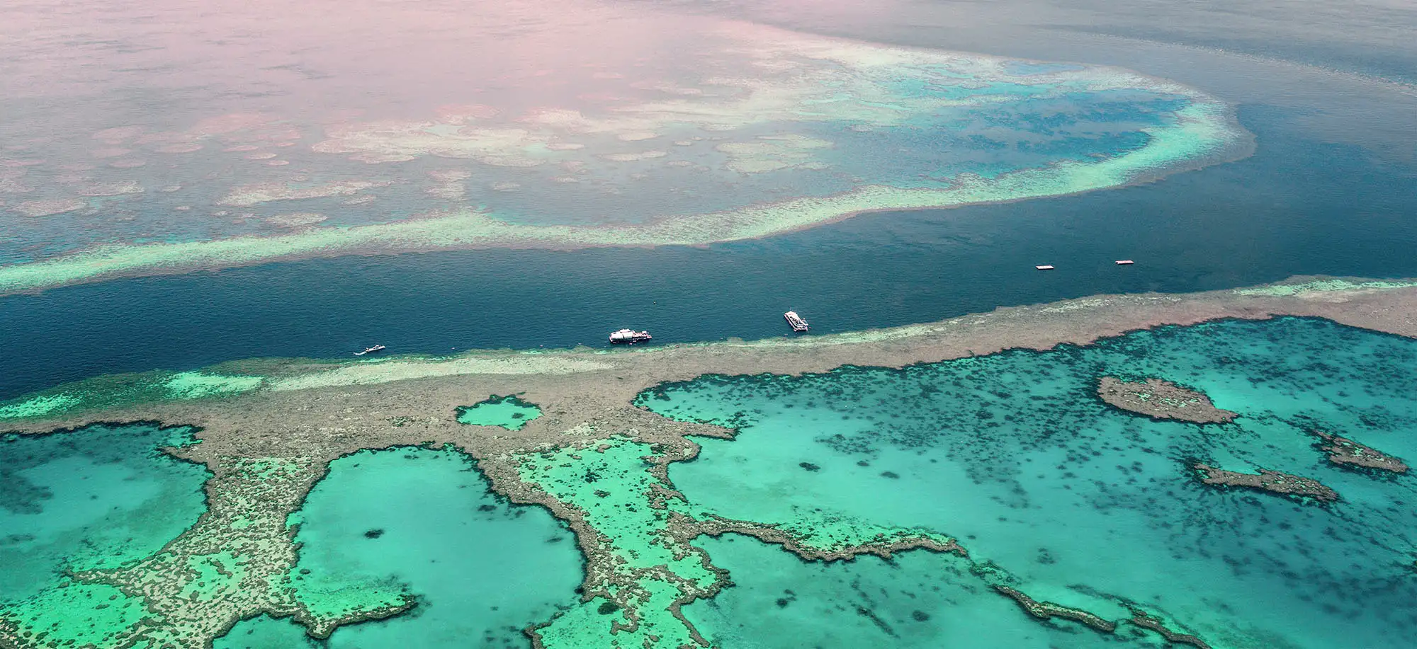 La gran barrera de coral