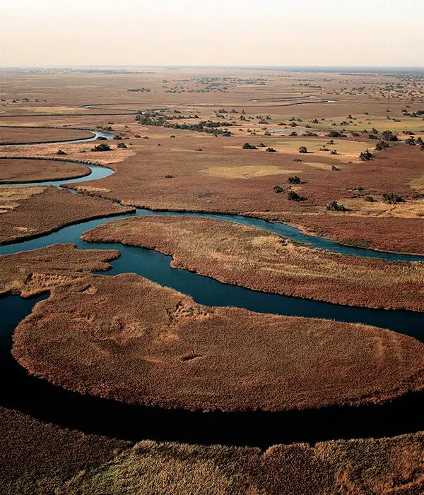 Delta del Okavango