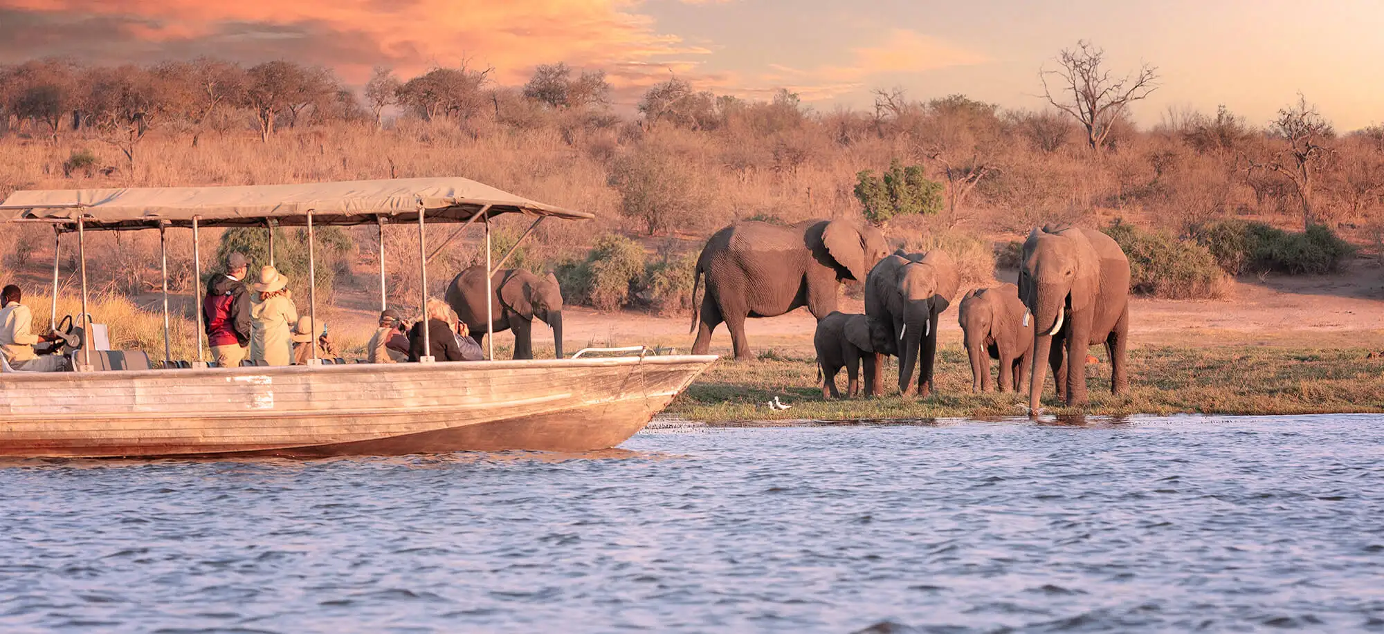 Viajes al Parque Nacional Chobe