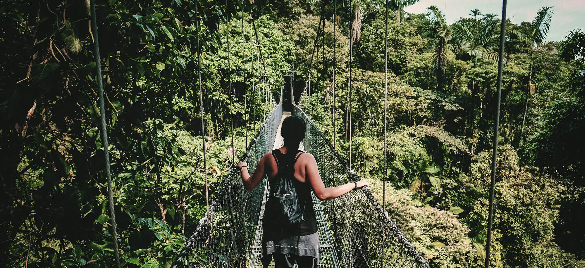 Bosque Nuboso de Monteverde
