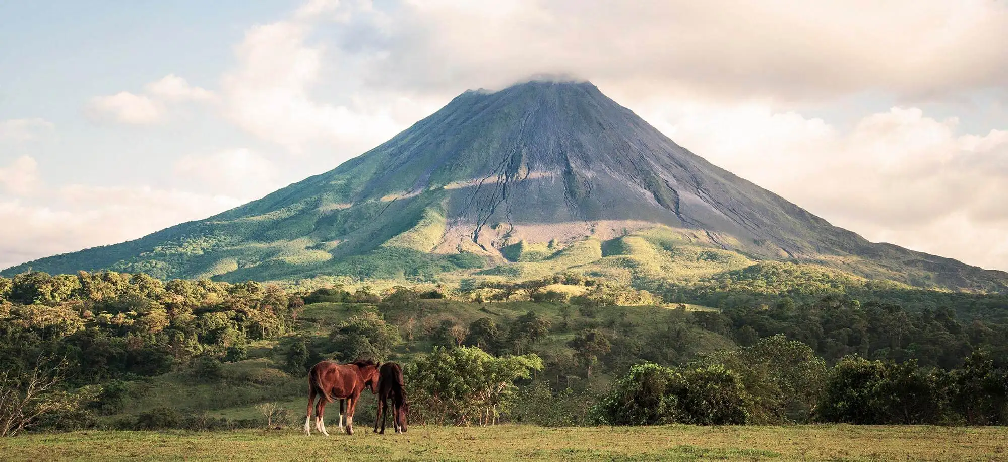 image-viajar-a-costa-rica-parque-nacional-del-volcan-arenal-g3.webp - Pangea Viajes