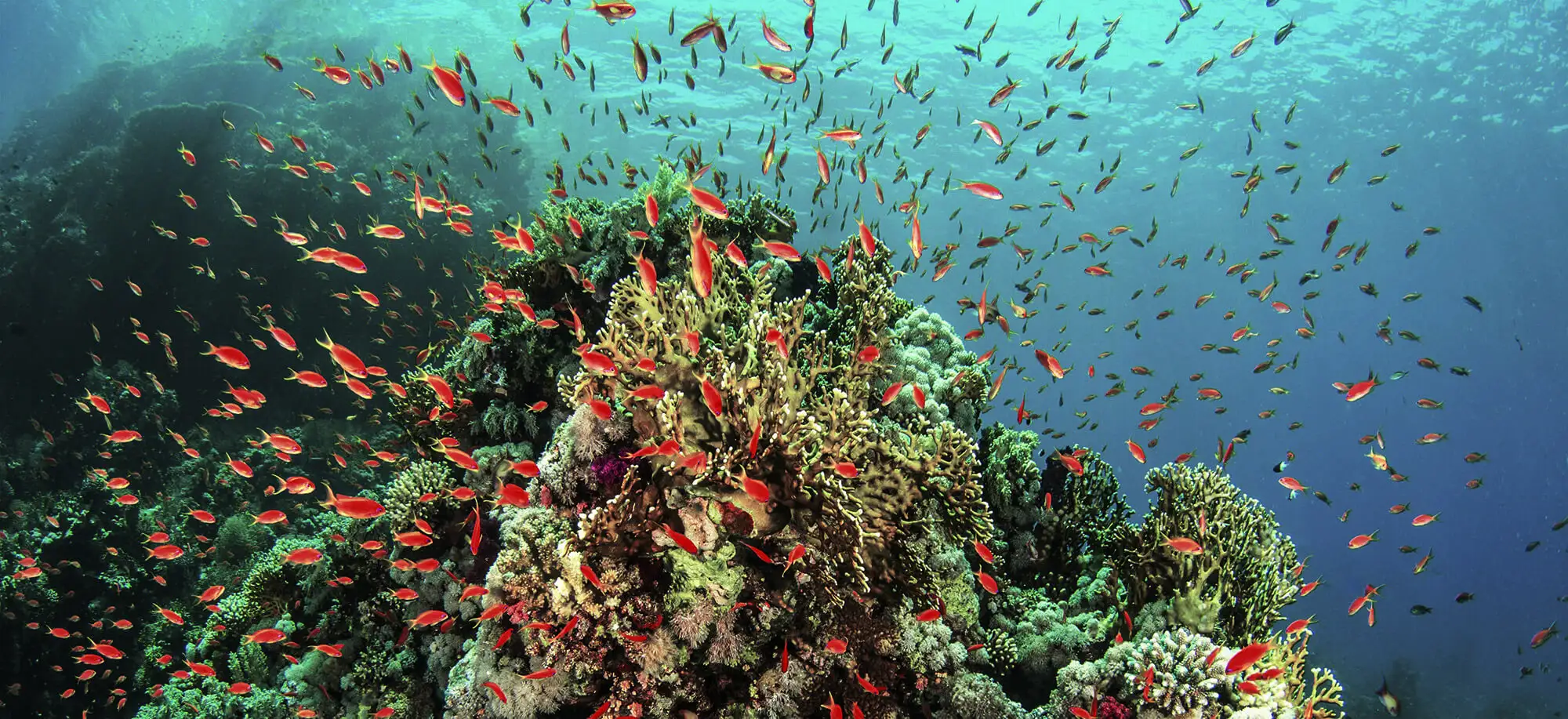 Sharm el-Sheij