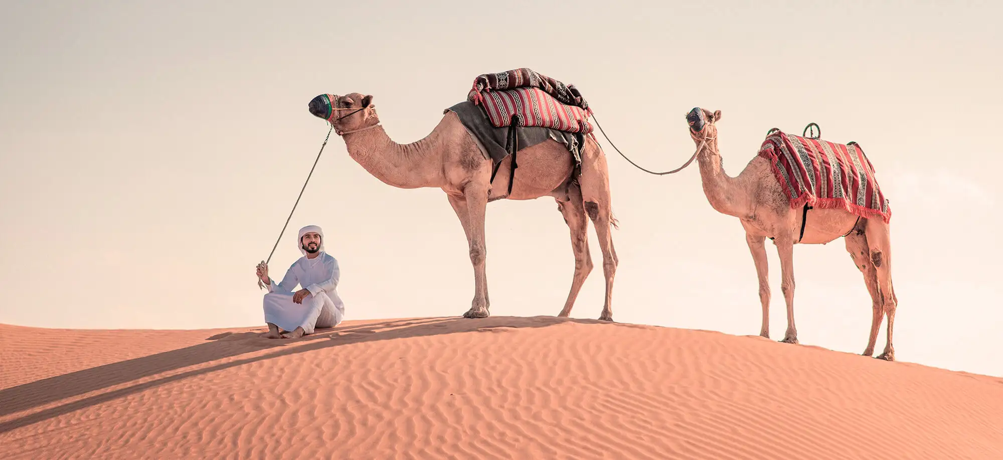 image-viajar-a-emiratos-arabes-desierto-de-dubai-g3.webp - Pangea Viajes