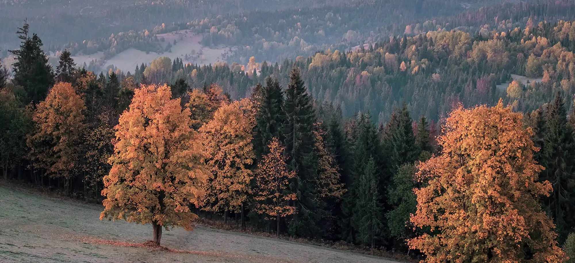 image-viajar-a-eslovaquia-montes tatras-g-2.webp - Pangea Viajes