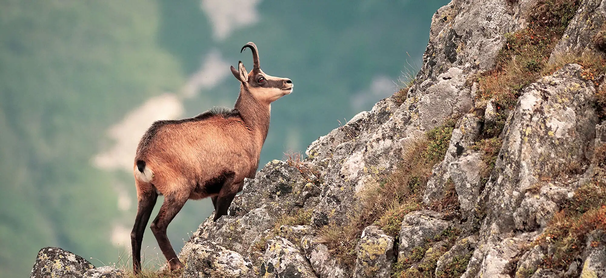 image-viajar-a-eslovaquia-montes tatras-g-3.webp - Pangea Viajes