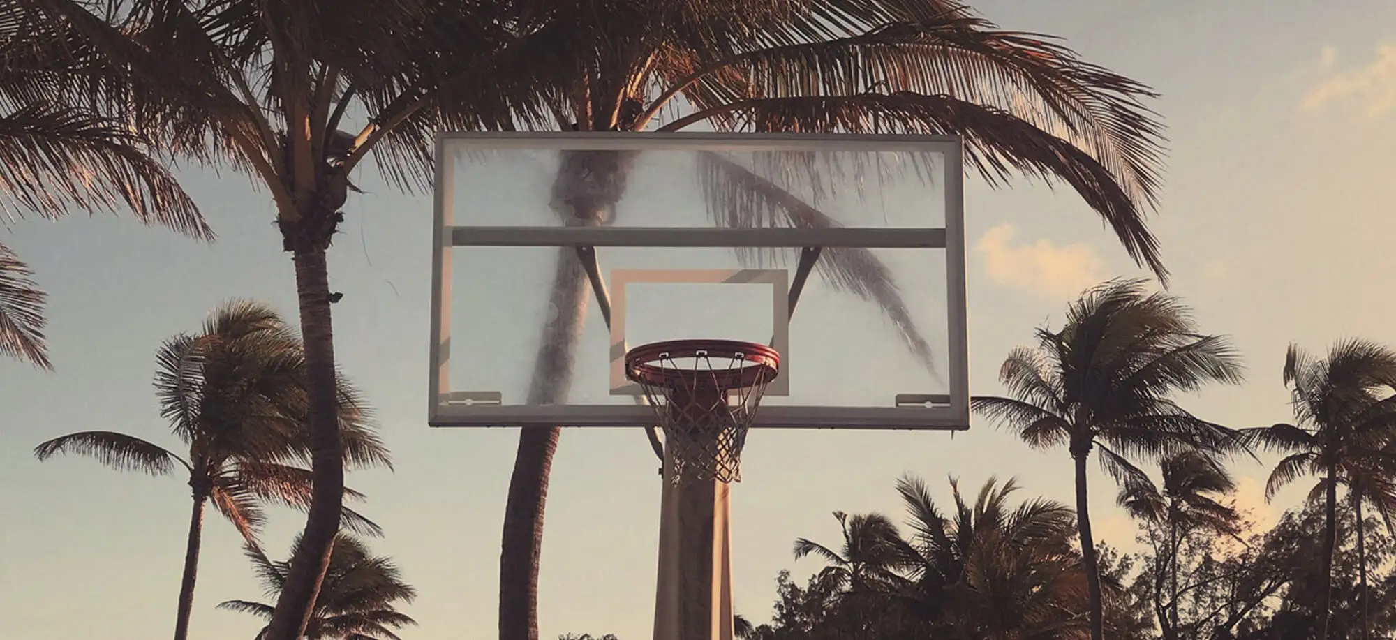 image-viajar-a-estados-unidos-miami-g3.webp - Pangea Viajes