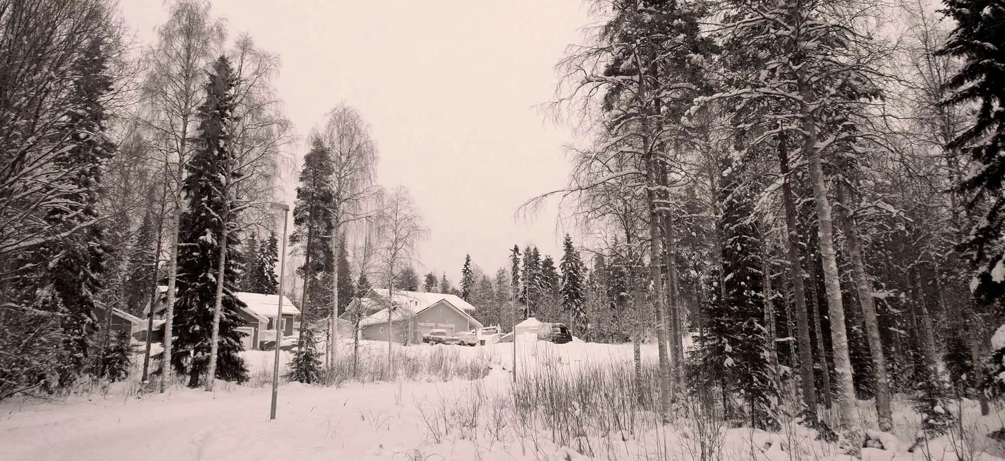 image-viajar-a-finlandia-rovaniemi-g3.webp - Pangea Viajes