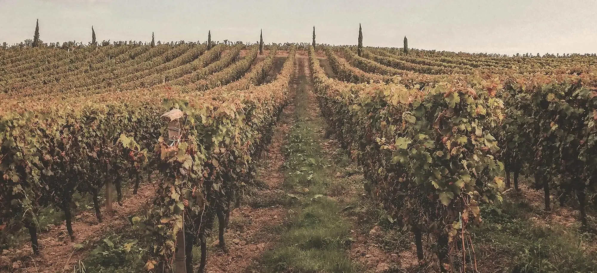 image-viajar-a-francia-la campiña francesa-g-3.webp - Pangea Viajes