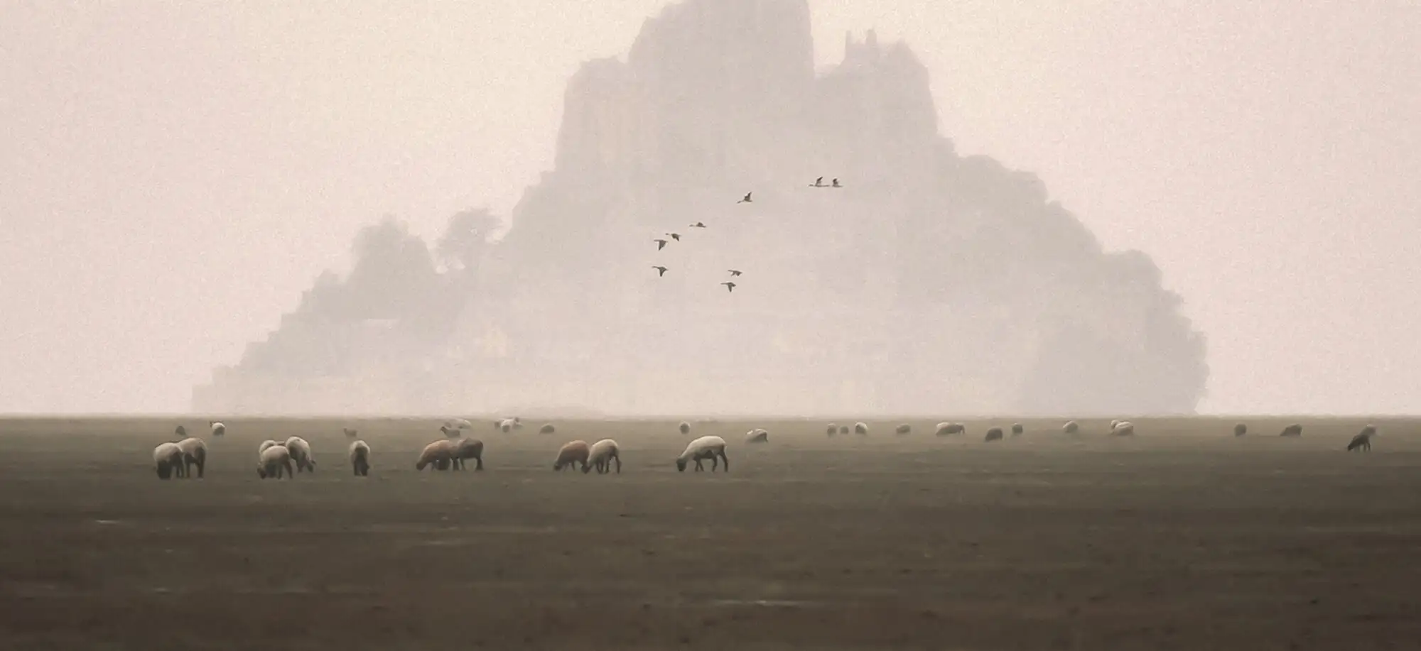 image-viajar-a-francia-monte saint michel-g-3.webp - Pangea Viajes