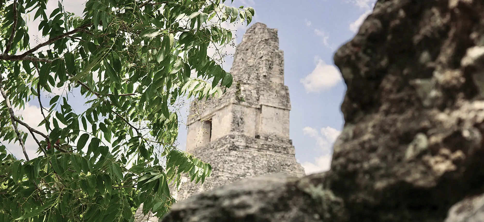 image-viajar-a-guatemala-tikal-g-1.webp - Pangea Viajes