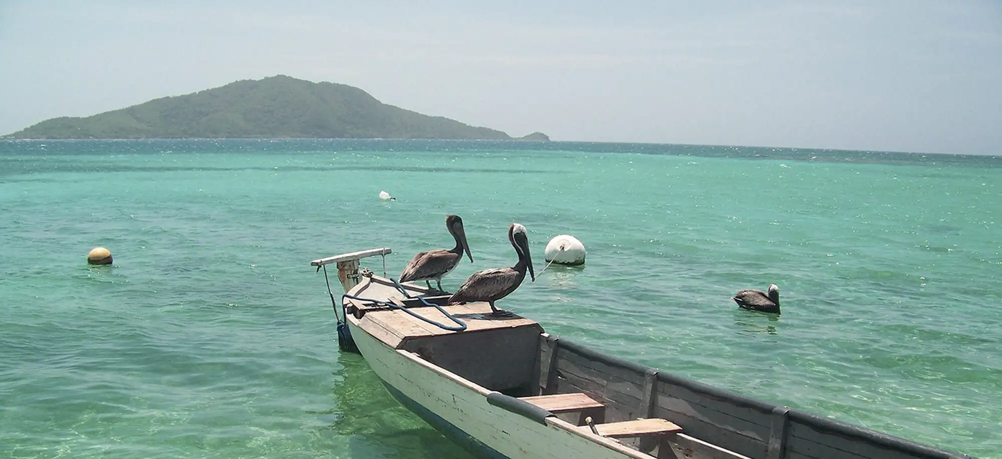 Cayos Cochinos