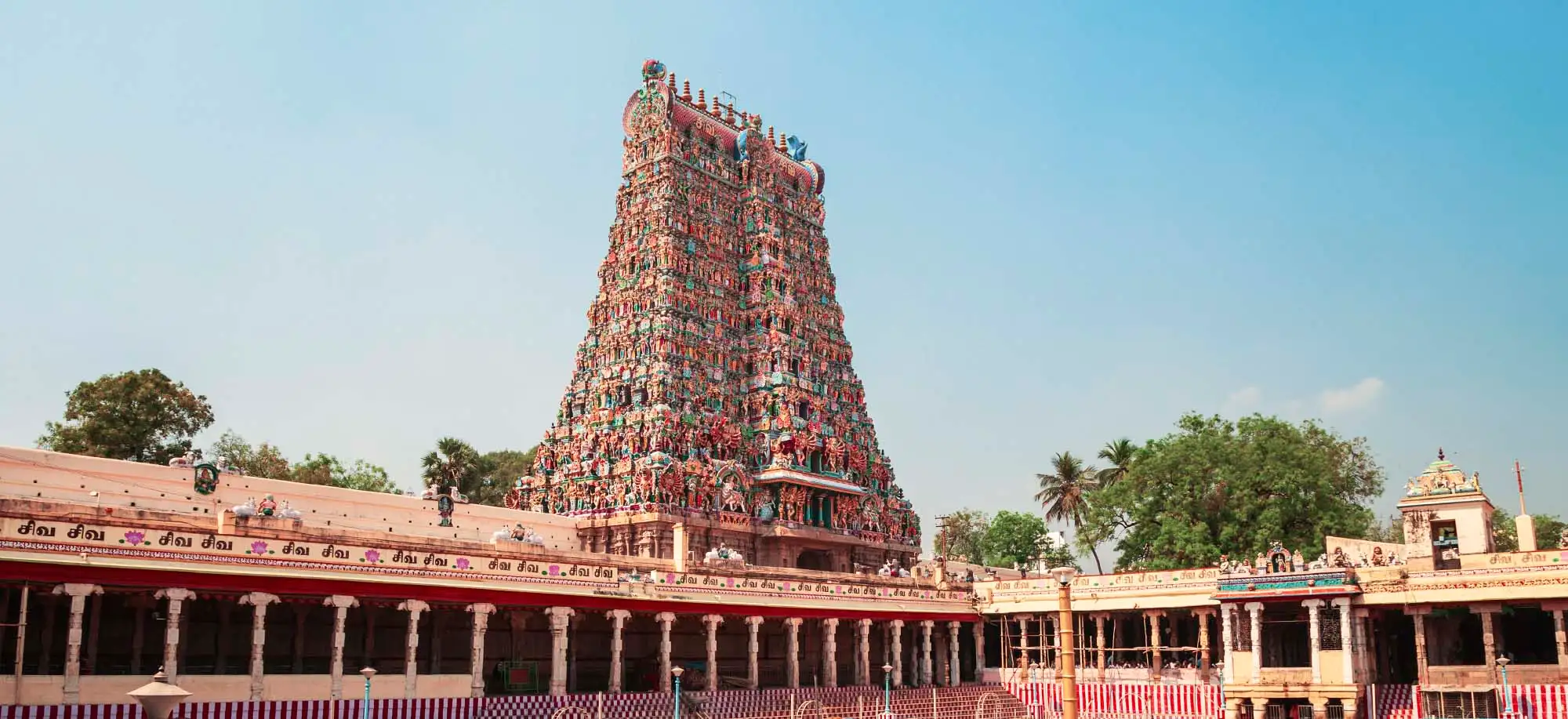 image-viajar-a-india-kerala-g3.webp - Pangea Viajes