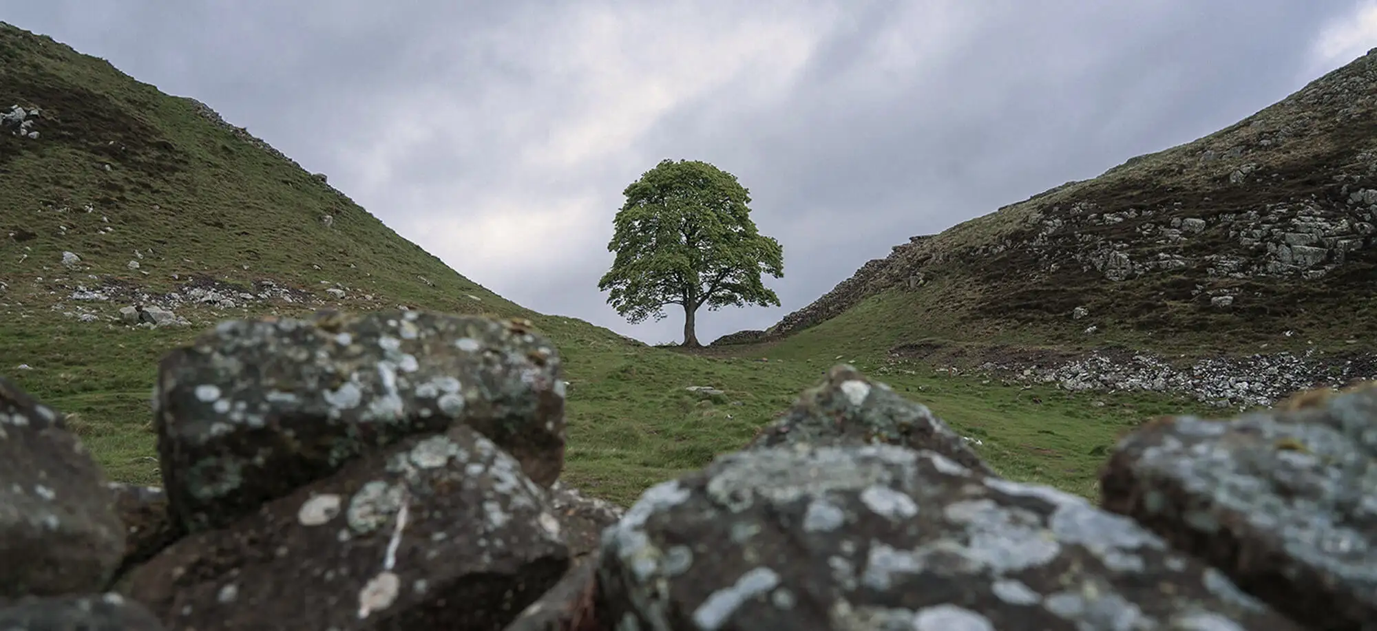 Hadrian's Wall