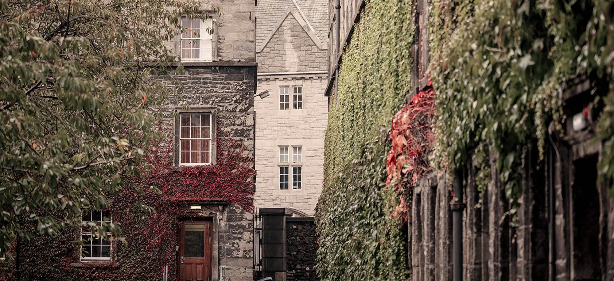 image-viajar-a-irlanda-dublin-g-3.webp - Pangea Viajes