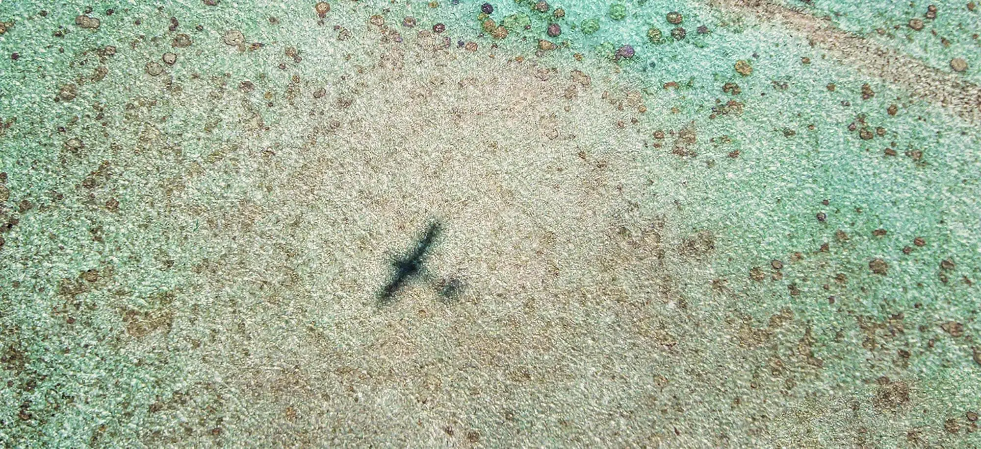 image-viajar-a-islas cook-rarotonga-g-1.webp - Pangea Viajes