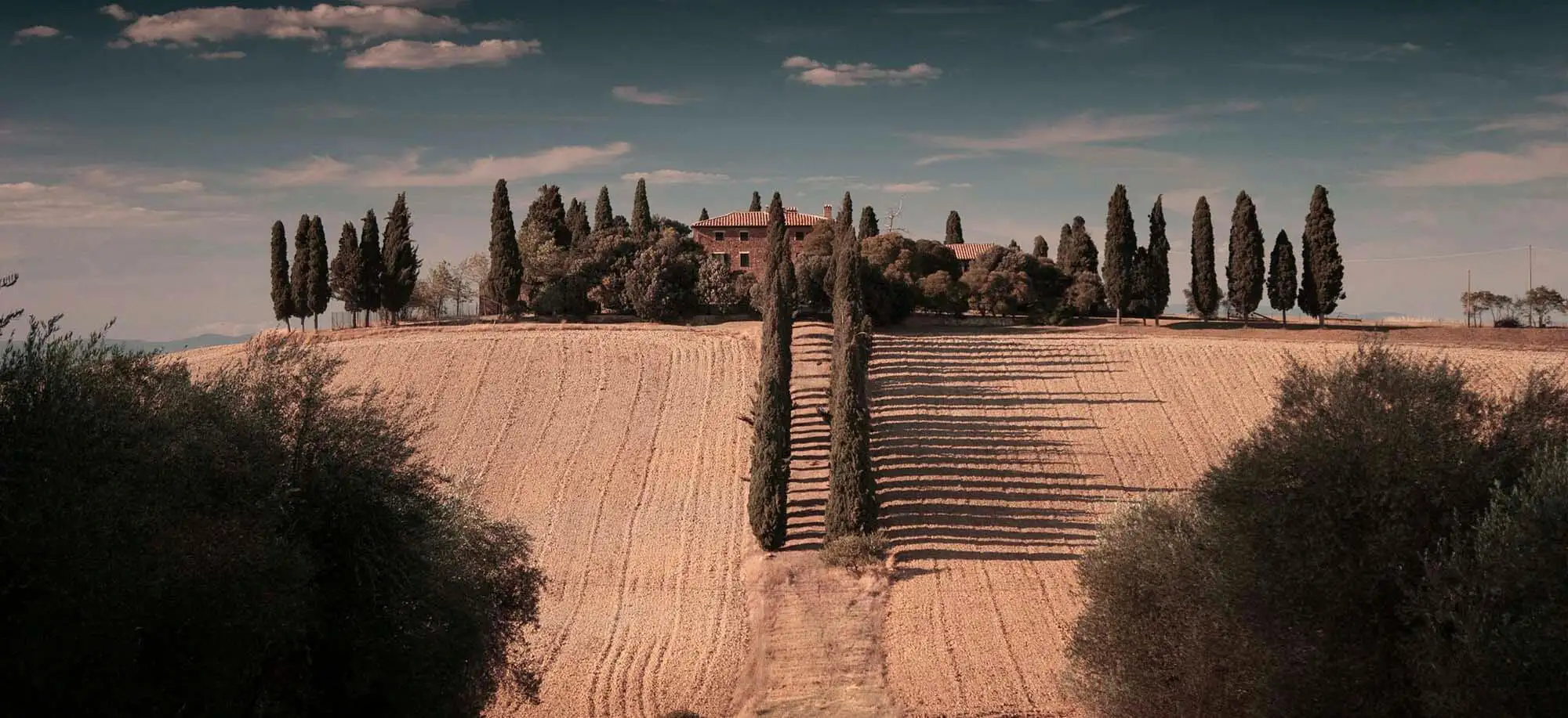 image-viajar-a-italia-la-toscana-g1.webp - Pangea Viajes