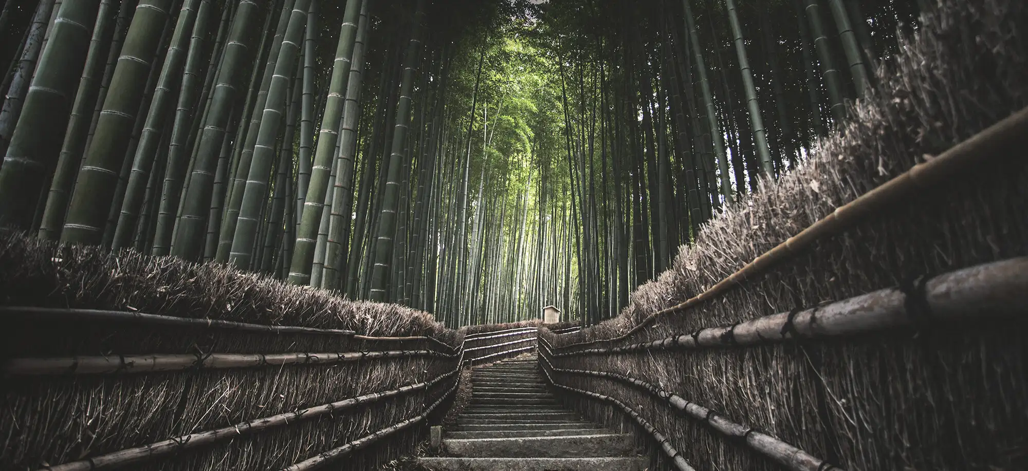Viajes a Kioto