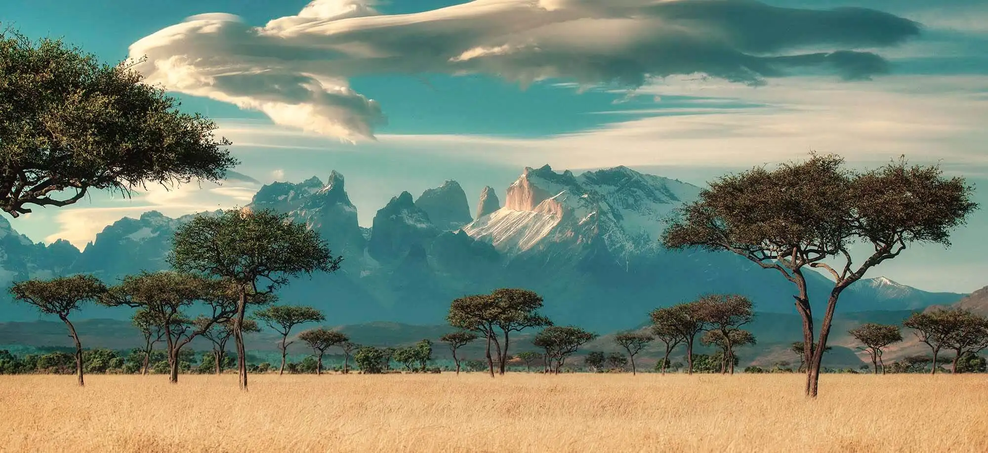 image-viajar-a-kenia-amboseli-g2.webp - Pangea Viajes