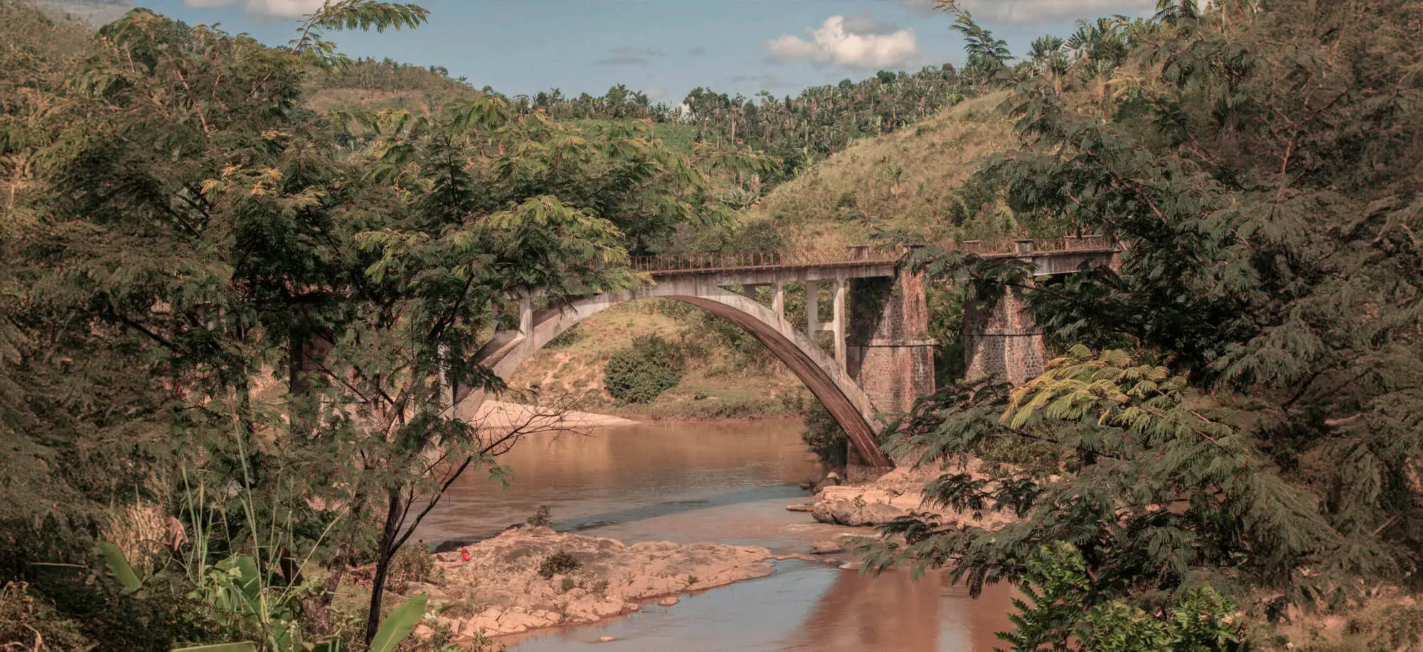 image-viajar-a-madagascar-tren-de-la-selva-g-2.webp - Pangea Viajes
