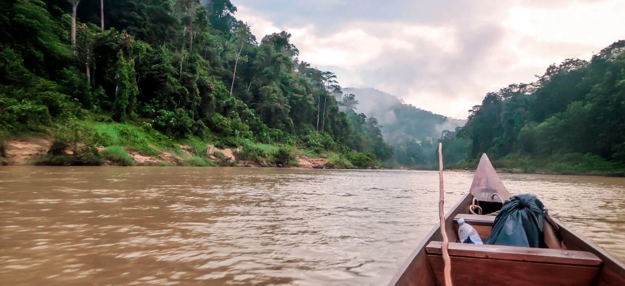 image-viajar-a-malasia-parque-nacional-taman-negara-g-1.webp - Pangea Viajes