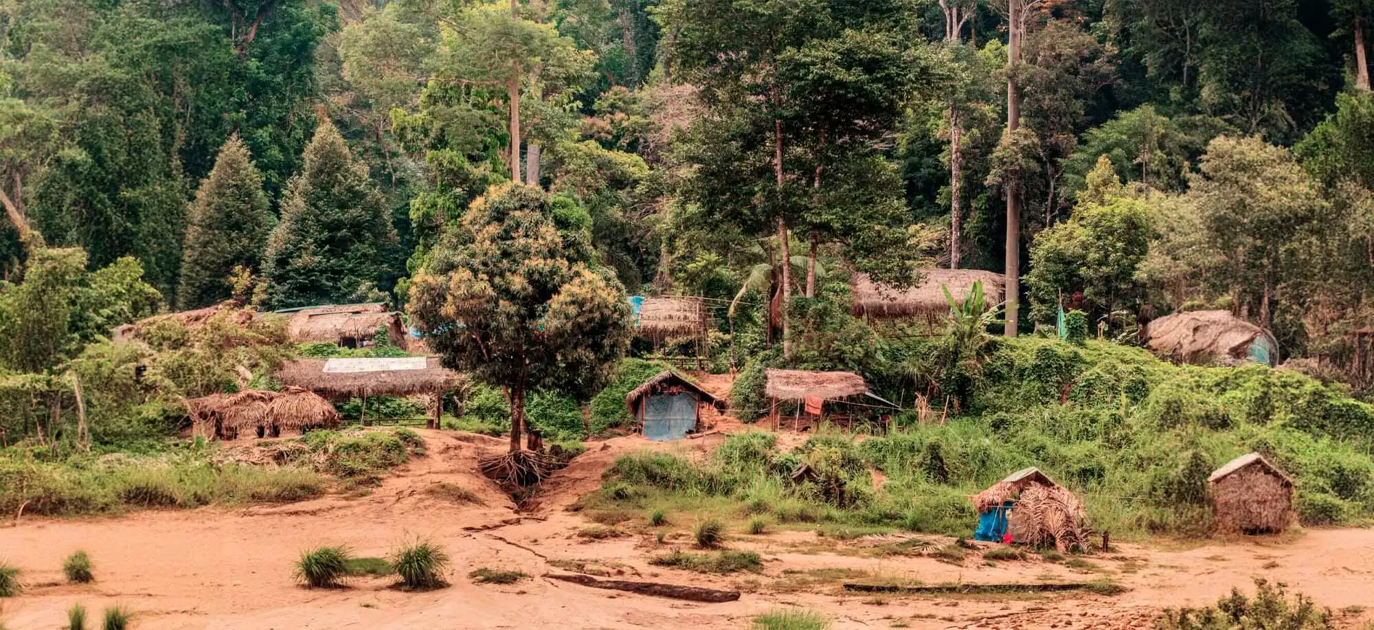 image-viajar-a-malasia-parque-nacional-taman-negara-g-2.webp - Pangea Viajes