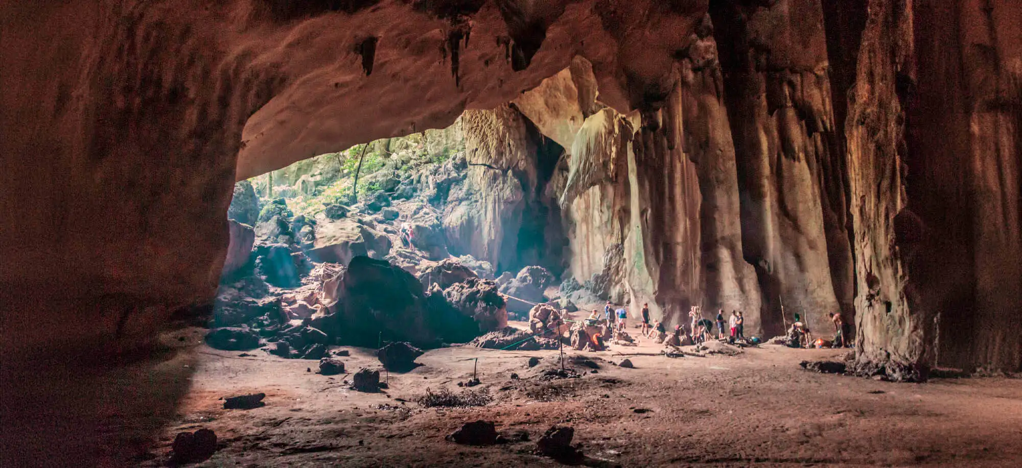 image-viajar-a-malasia-parque-nacional-taman-negara-g-3.webp - Pangea Viajes