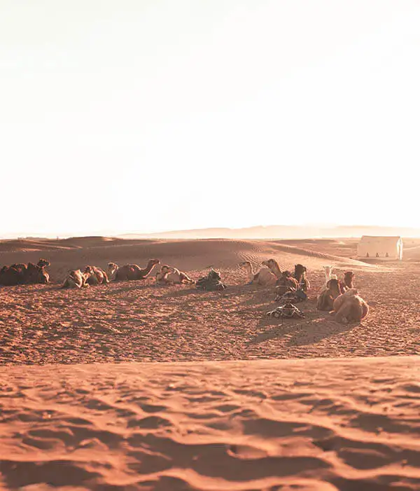Marruecos