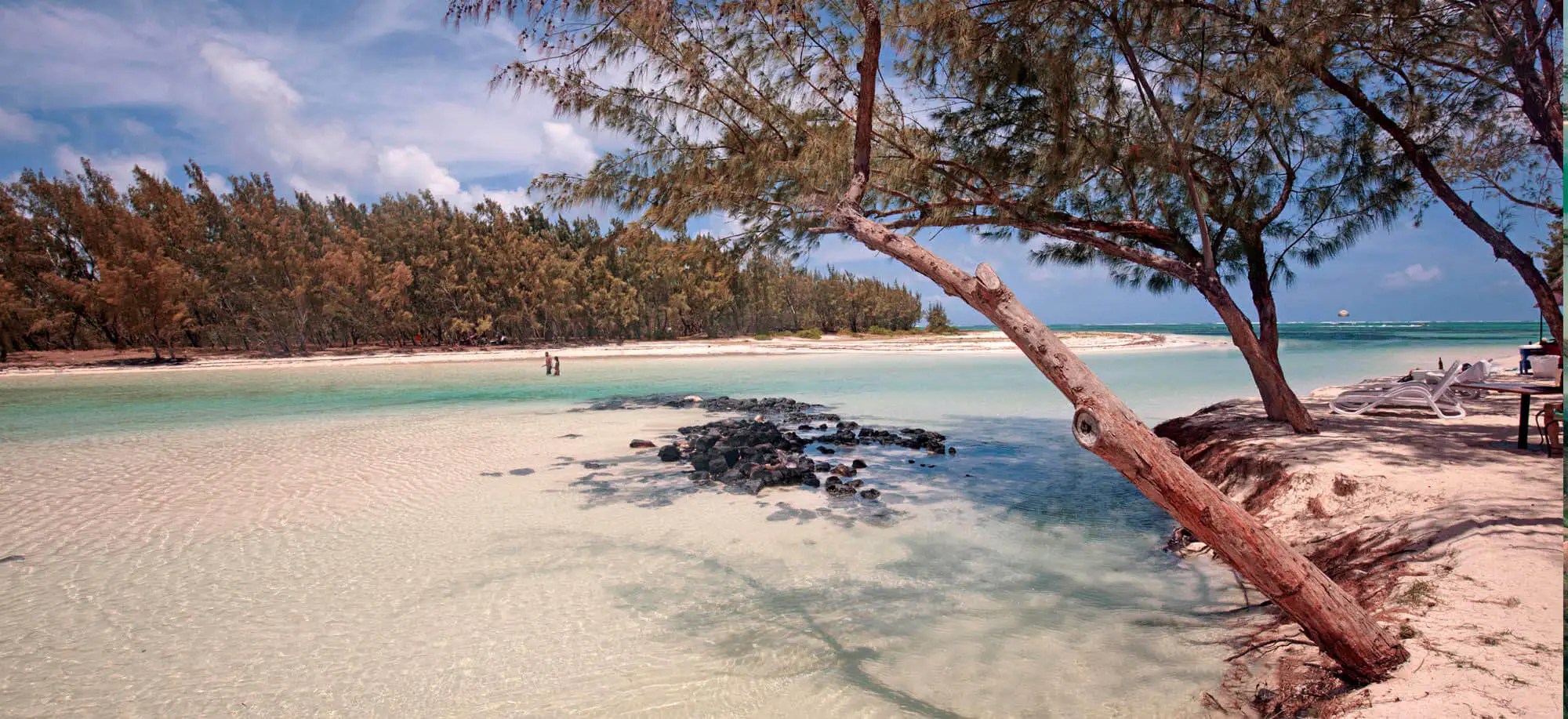 image-viajar-a-mauricio-ile-aux-cerfs-g-2.webp - Pangea Viajes