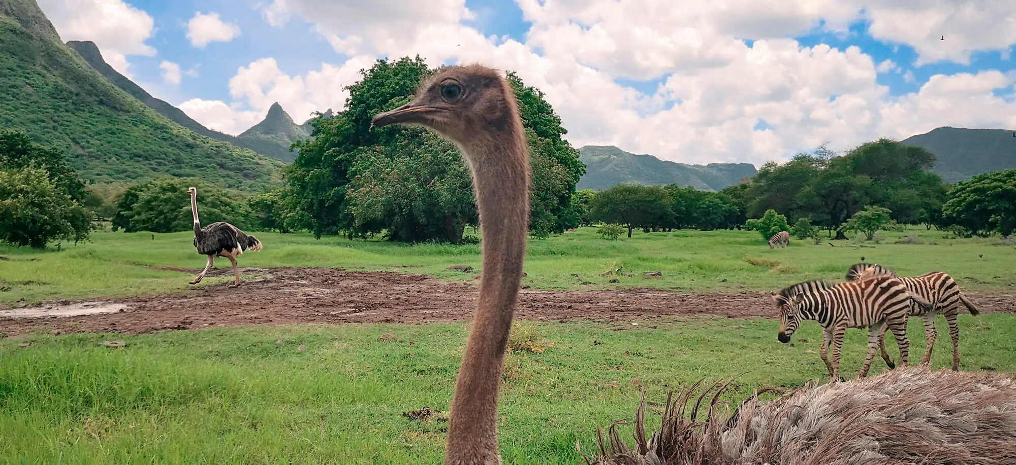 Parque de Aventuras de Casela
