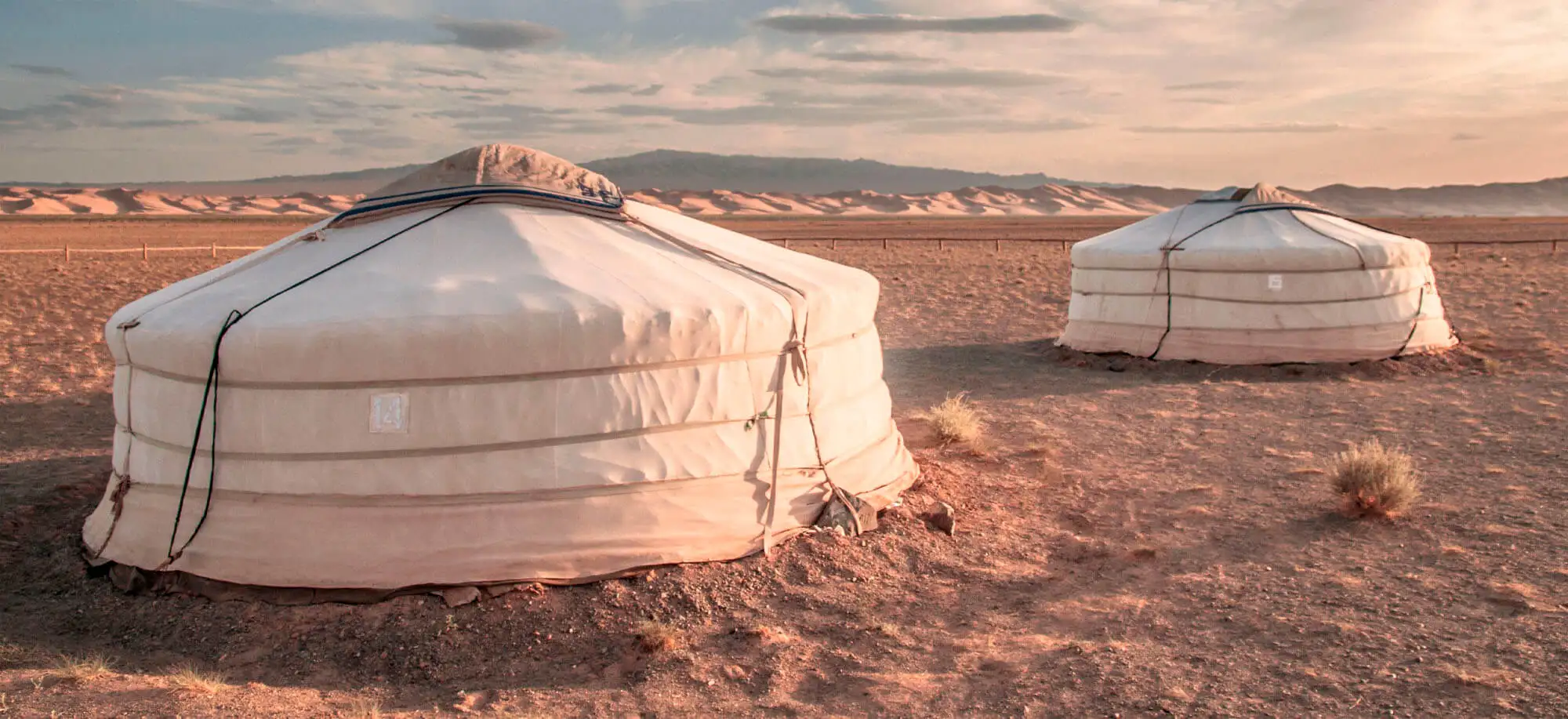 image-viajar-a-mongolia-dunas-de-arena-khongoryn-g-2.webp - Pangea Viajes