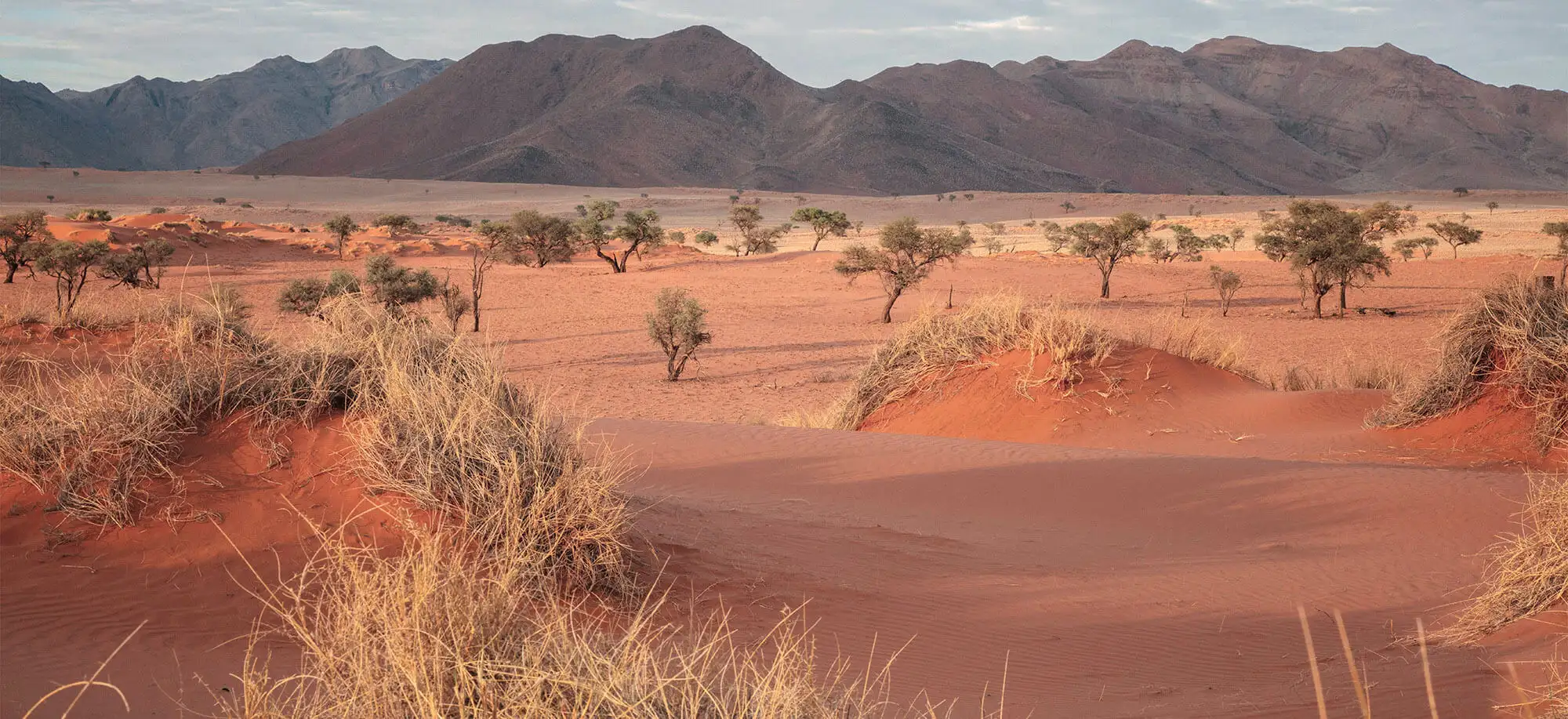 Viajes al Desierto de Namib