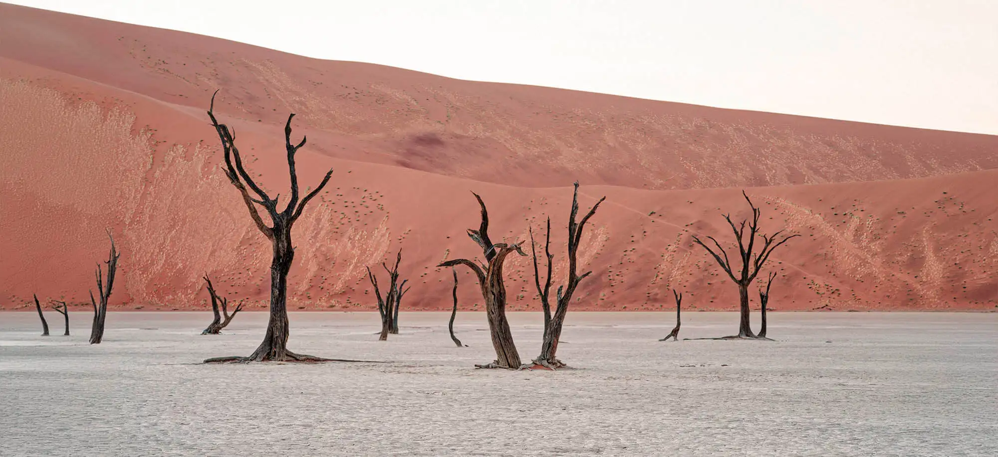 image-viajar-a-namibia-desierto-de-namib-g-3.webp - Pangea Viajes