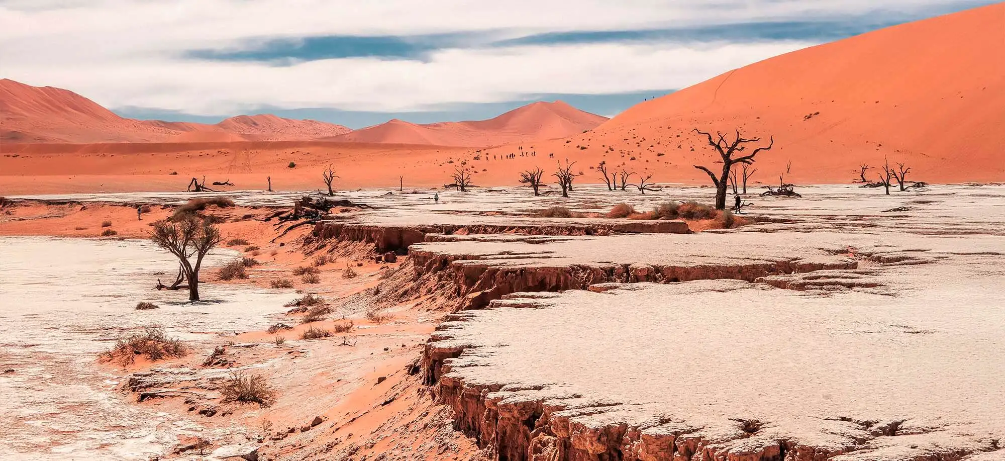 image-viajar-a-namibia-dunas-de-sossusvlei-g-1.webp - Pangea Viajes