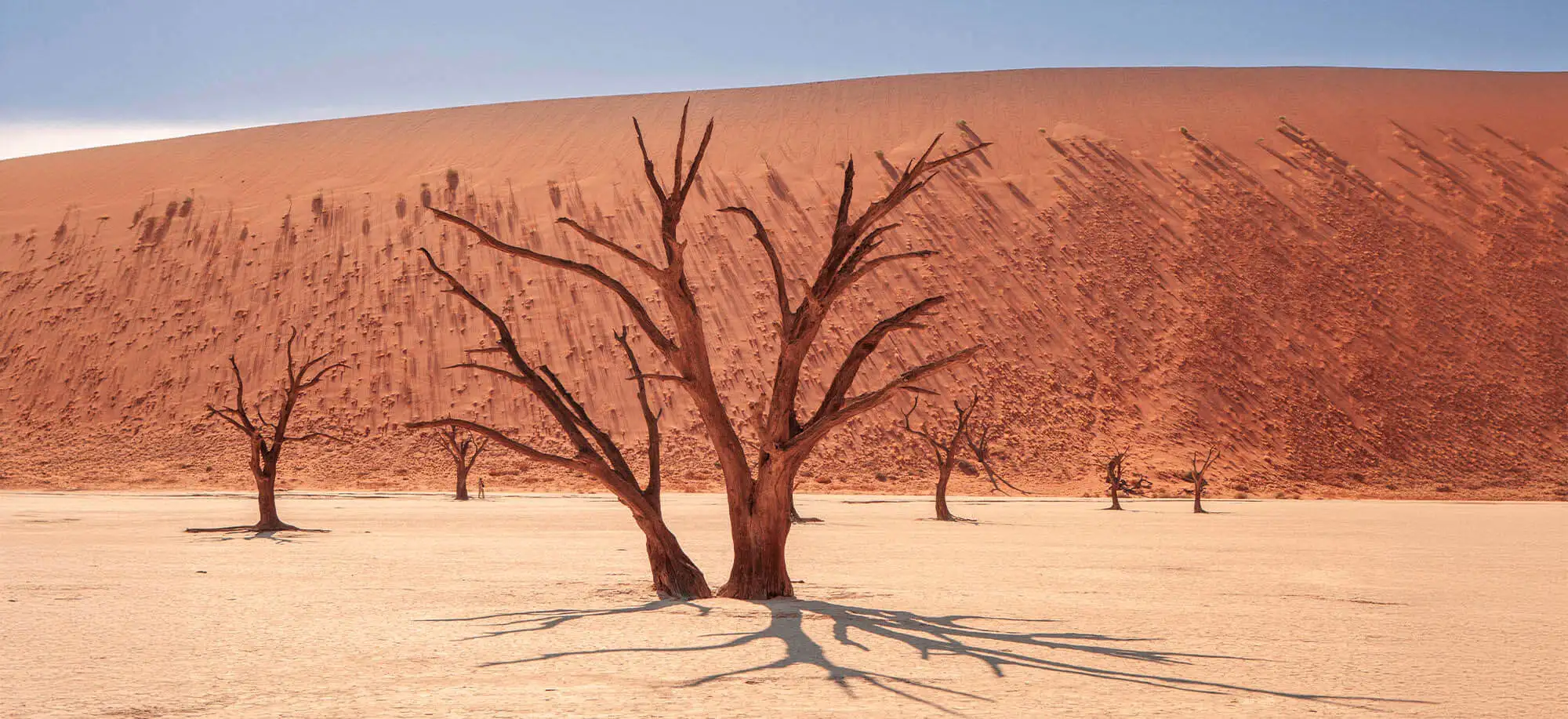 image-viajar-a-namibia-dunas-de-sossusvlei-g-2.webp - Pangea Viajes