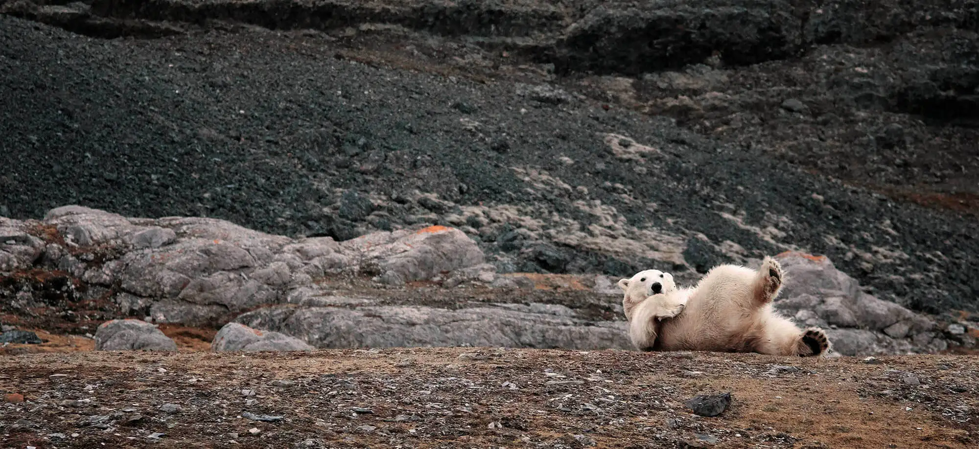 image-viajar-a-noruega-svalbard-g3.webp - Pangea Viajes