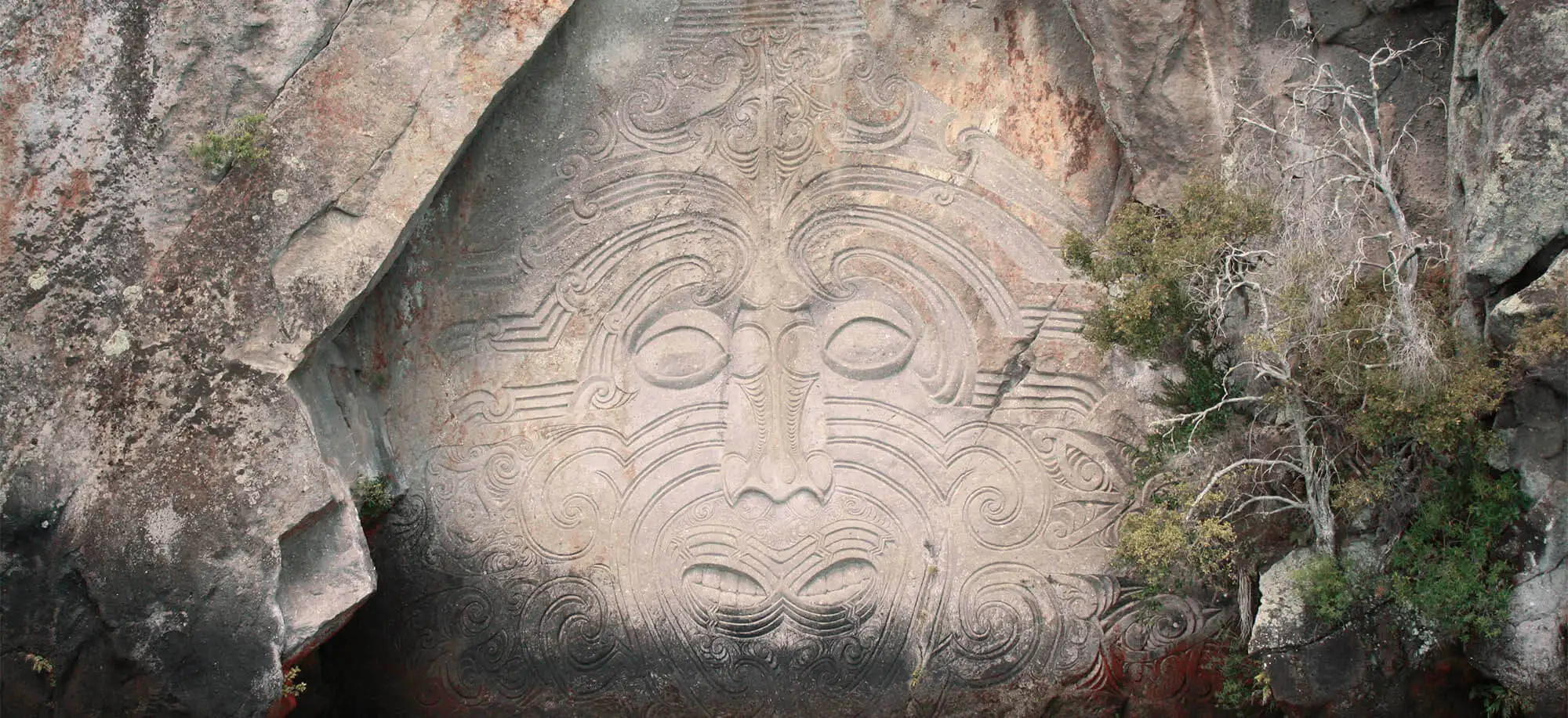 image-viajar-a-nueva-zelanda-cultura-maori-g2.webp - Pangea Viajes