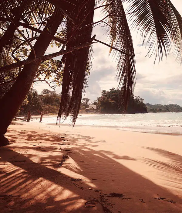 Bocas del Toro