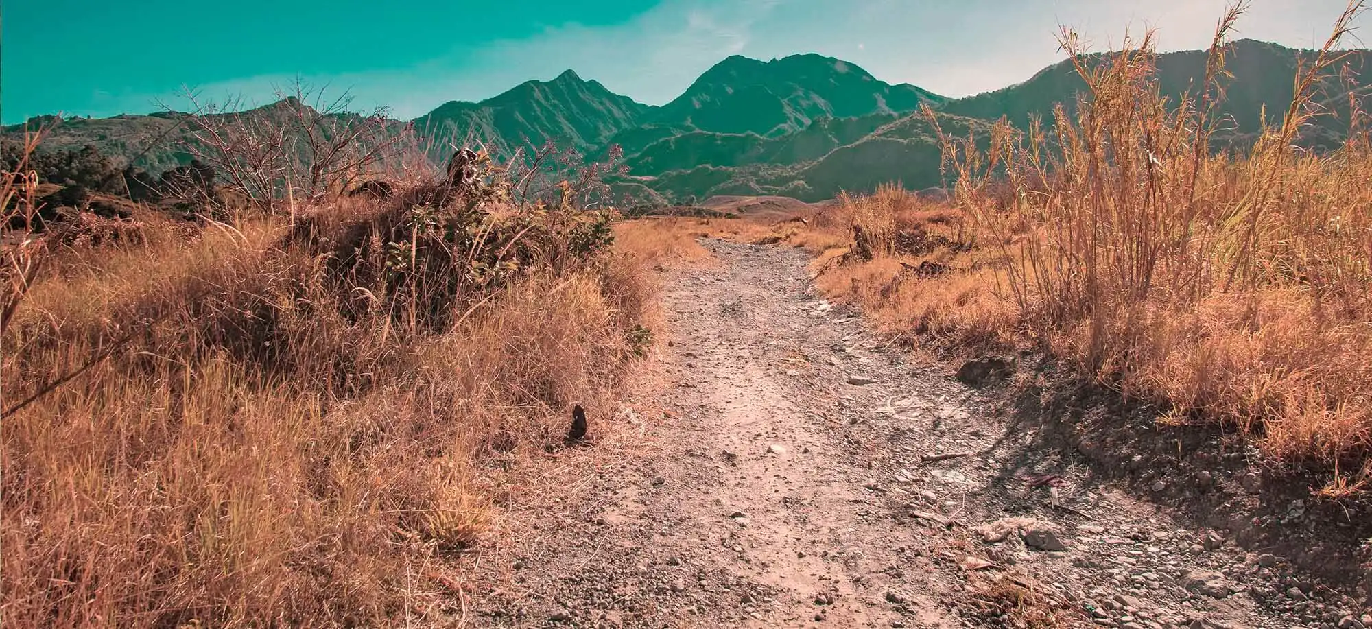 image-viajar-a-panamá-parque-nacional-volcán-barú-g-3.webp - Pangea Viajes