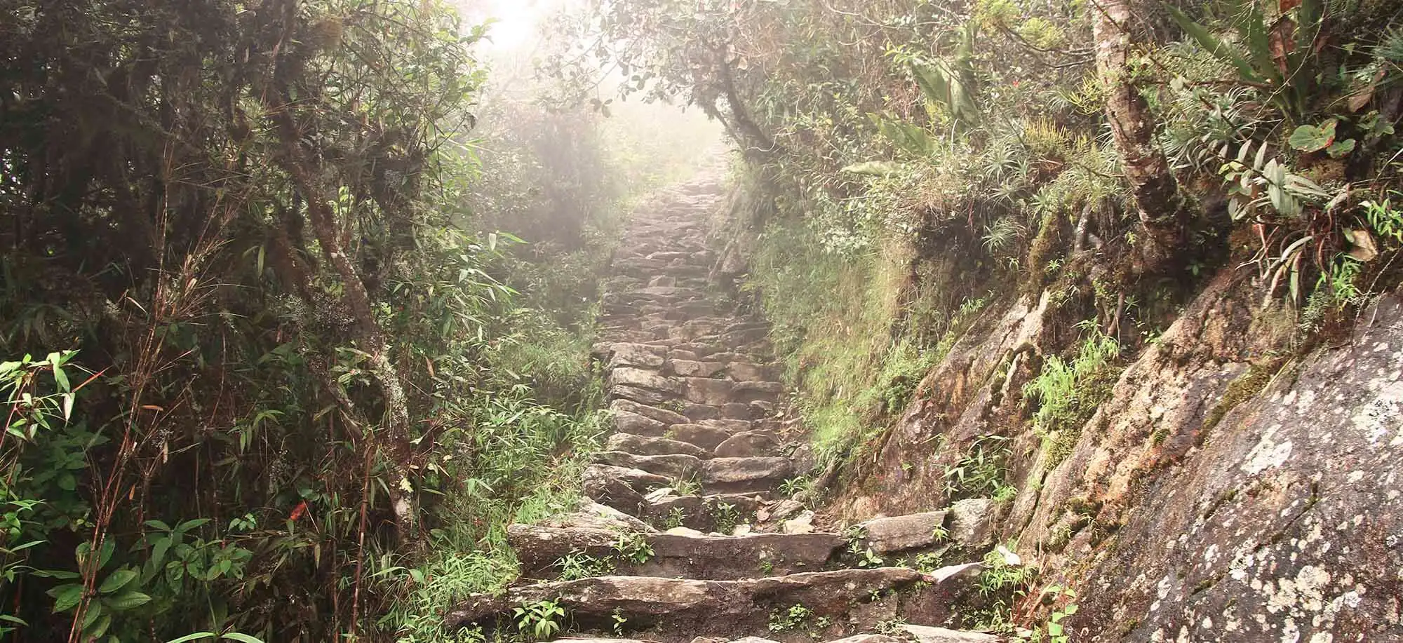 image-viajar-a-peru-camino-del-inca-g1.webp - Pangea Viajes