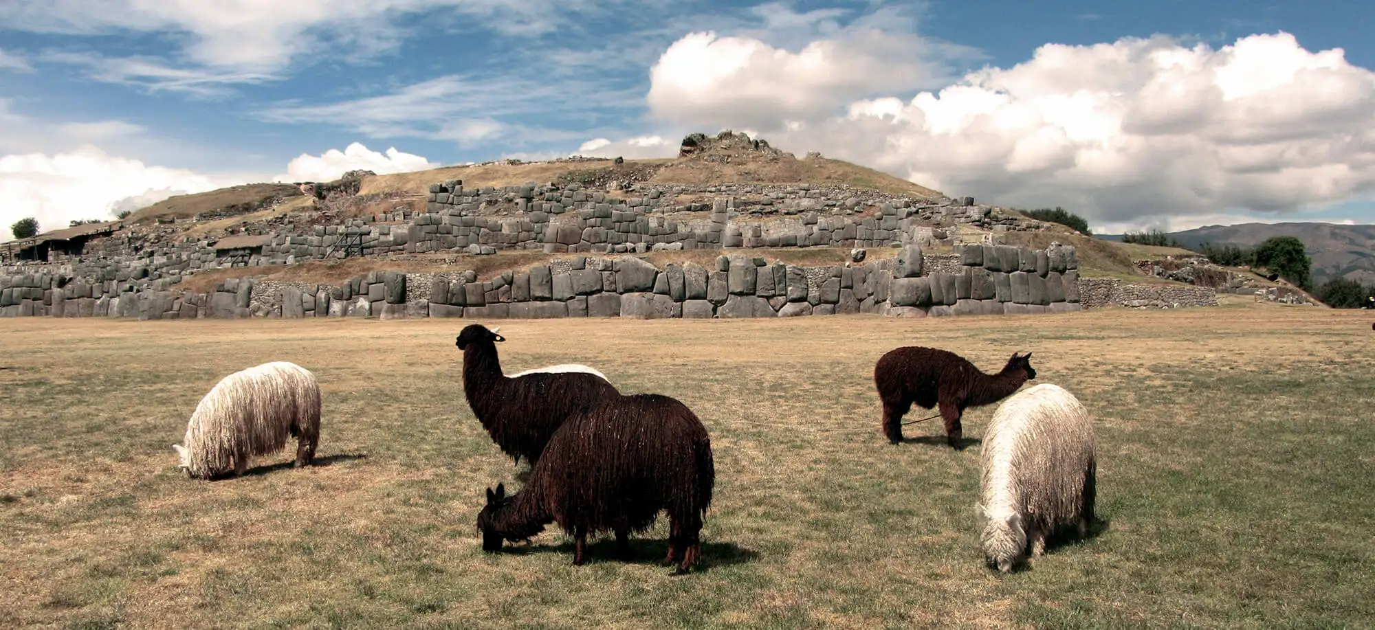 Cusco